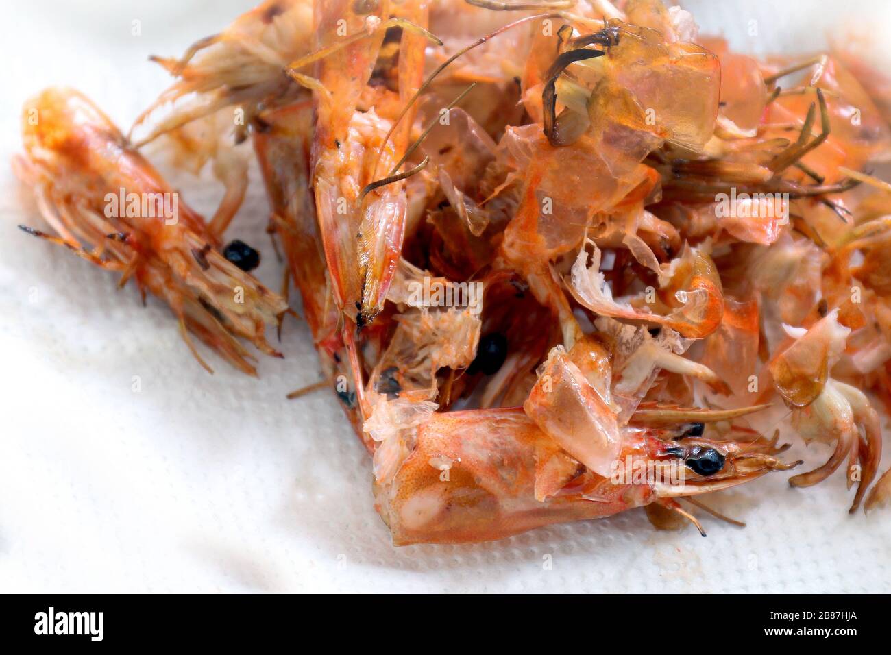 Pile de crevettes cuites et pelées, déchets de crevettes alimentaires pelées, détail des têtes et des yeux de ces fruits de mer, déchets de nettoyage de crevettes cuites (Selecti Banque D'Images