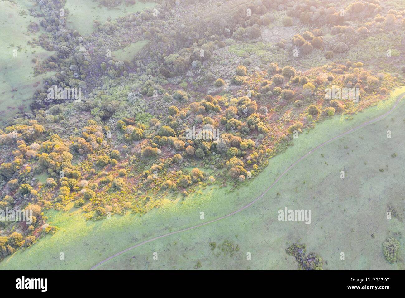 La lumière du soleil du matin brille sur les collines vertes de la baie East Bay dans le nord de la Californie. Cette zone ouverte, à l'est de San Francisco, est verte en hiver. Banque D'Images
