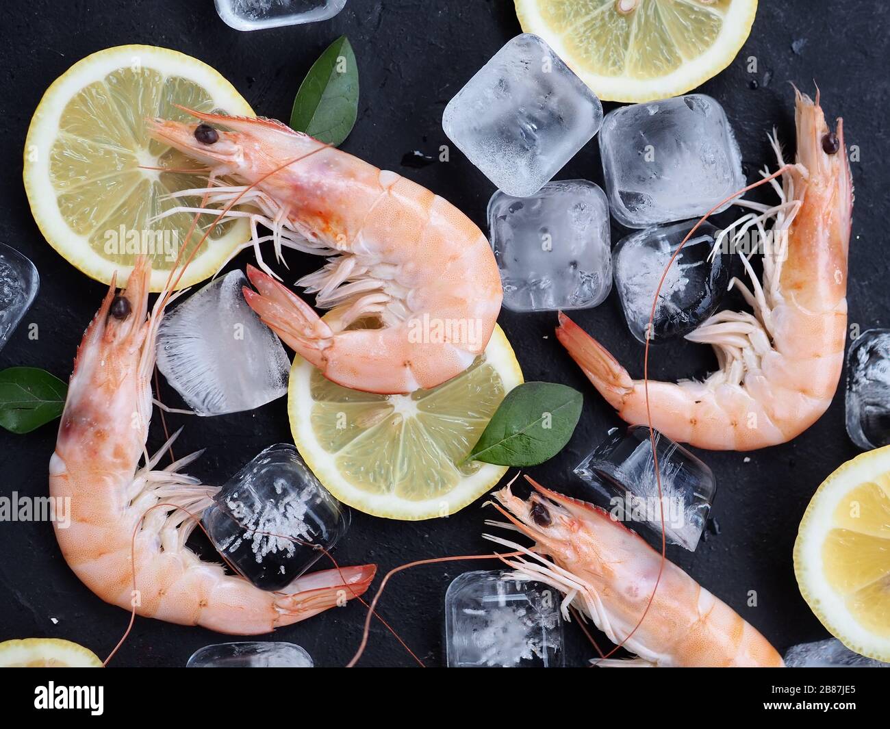 Crevettes fraîches aux épices au romarin ou au basilic, citron et glace sur une plaque en pierre noire en arrière-plan. Vue de dessus des ingrédients de fruits de mer. Banque D'Images