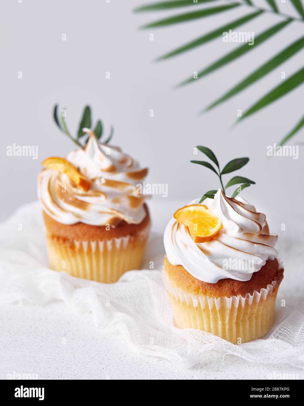 Cupcakes faits maison décorés de citron et de feuilles sur fond blanc. Espace libre pour votre texte Banque D'Images