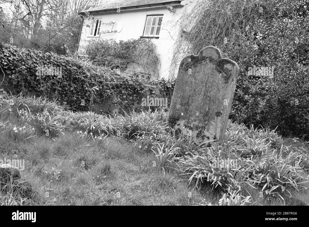 Photographies prises dans et autour du petit village d'Ayot St Lawrence dans le Hertfordshire Royaume-Uni Banque D'Images