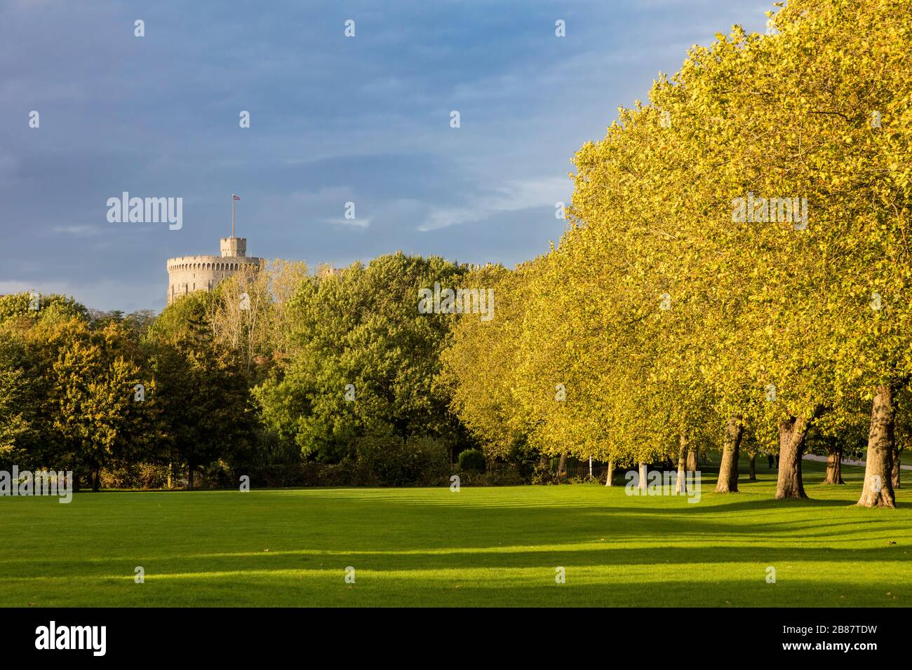 Soirée d'automne lumière du soleil sur les arbres de jardin sous le château de Windsor, Windsor, Angleterre, Royaume-Uni Banque D'Images
