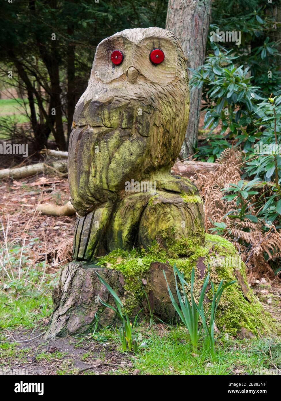 Owl sculpté dans une bosse d'arbres sur le Sandringham Estate, Norfolk, Royaume-Uni Banque D'Images