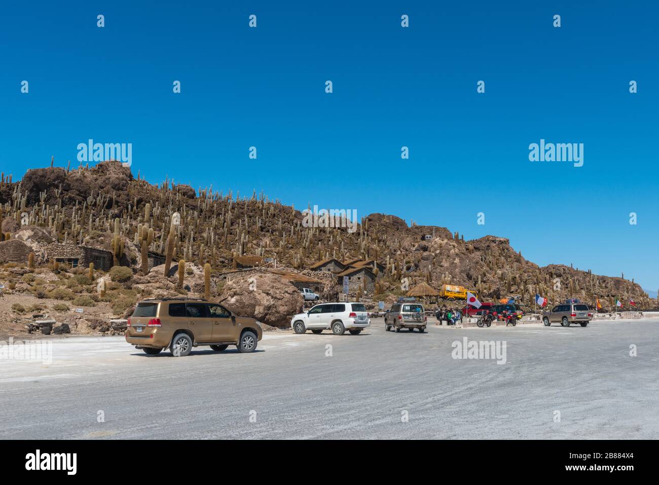 Tourisme, Isla Incahuasi, Inca House Island, Salar de Uyuni, Département Potosi, Sud-Ouest de la Bolivie Banque D'Images