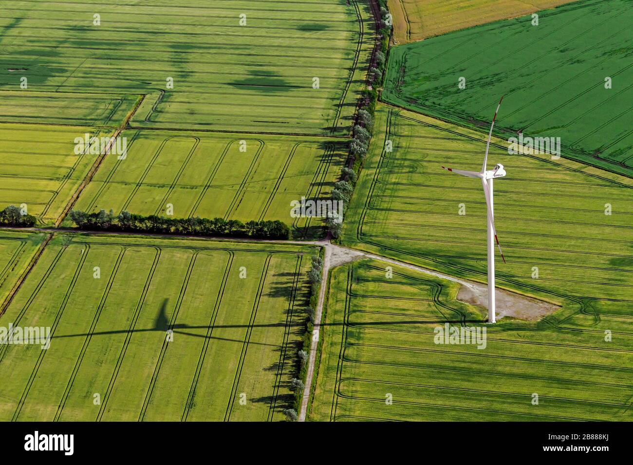 Vue aérienne sur les terres agricoles avec éolienne au milieu de parcelles agricoles / parcelles de terres avec cultures céréalières et champs de blé / champs de maïs en été Banque D'Images