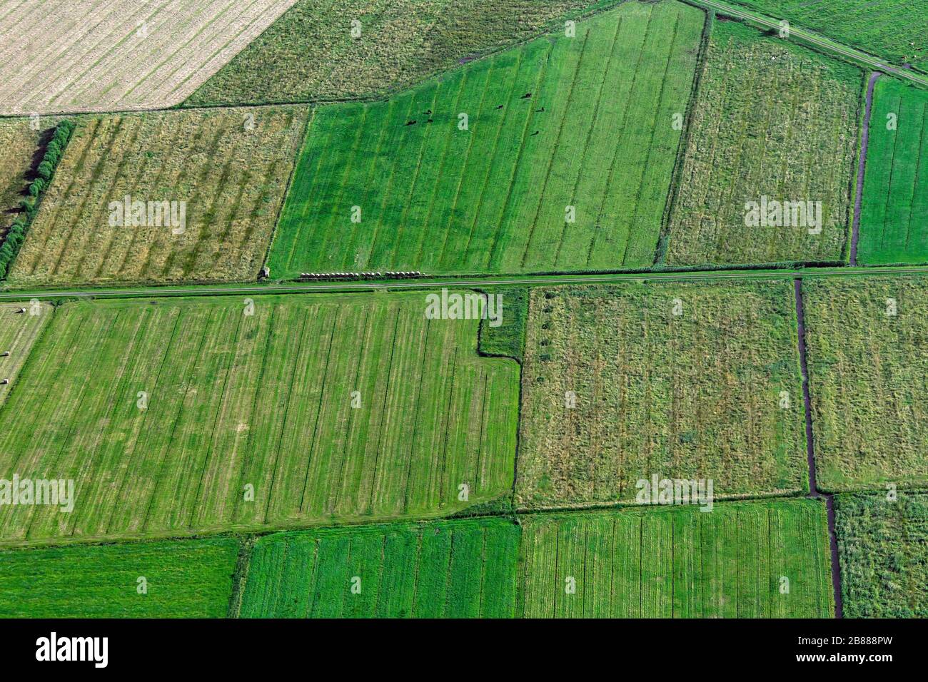 Vue aérienne sur les terres agricoles montrant les voies de tracteur et les fossés dans les parcelles agricoles / parcelles de terrain avec prairies / prairies en été Banque D'Images