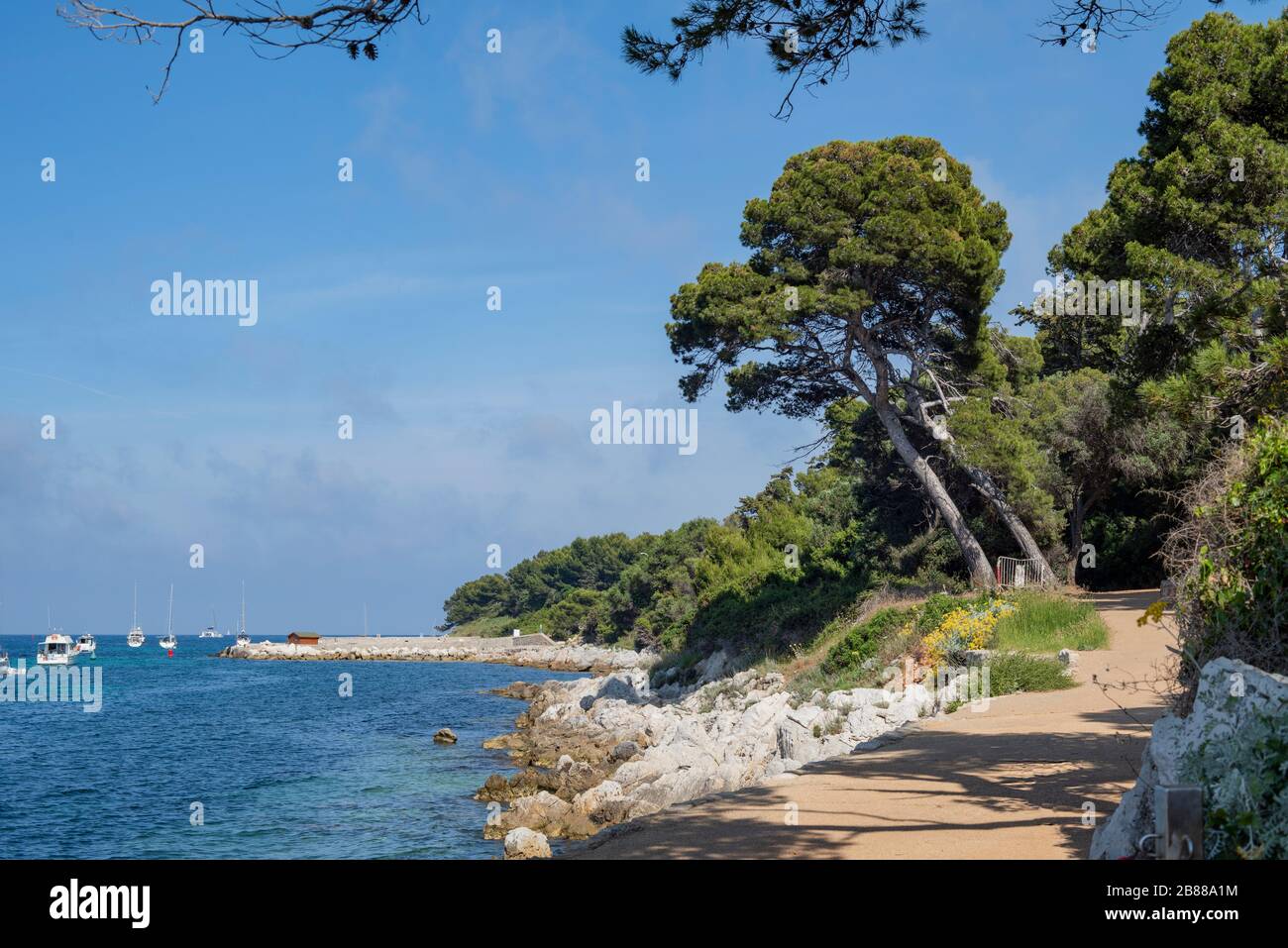 Vue sur la mer depuis l'île de St Honorat. Côte des îles de Lerins. Abbaye de Lerins. Banque de Saint-Honoré. Yachting à Cannes. Les plus belles îles françaises. Banque D'Images