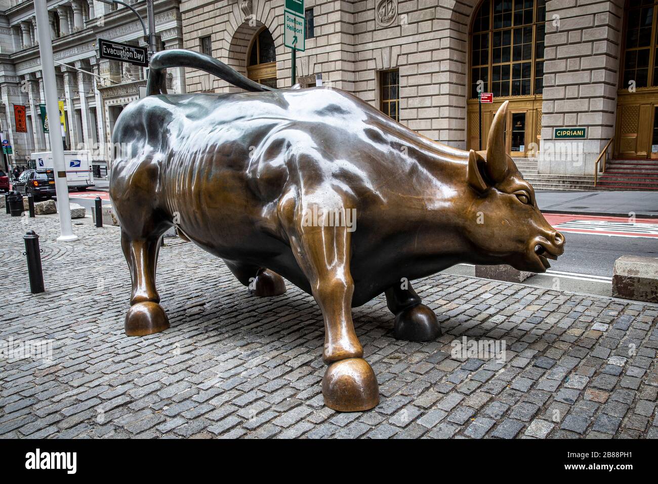 Le taureau de charge ou le taureau de Wall Street dans le quartier  financier de Manhattan, New York City est disponible pour un tir propre  sans aucun touriste dans Photo Stock -