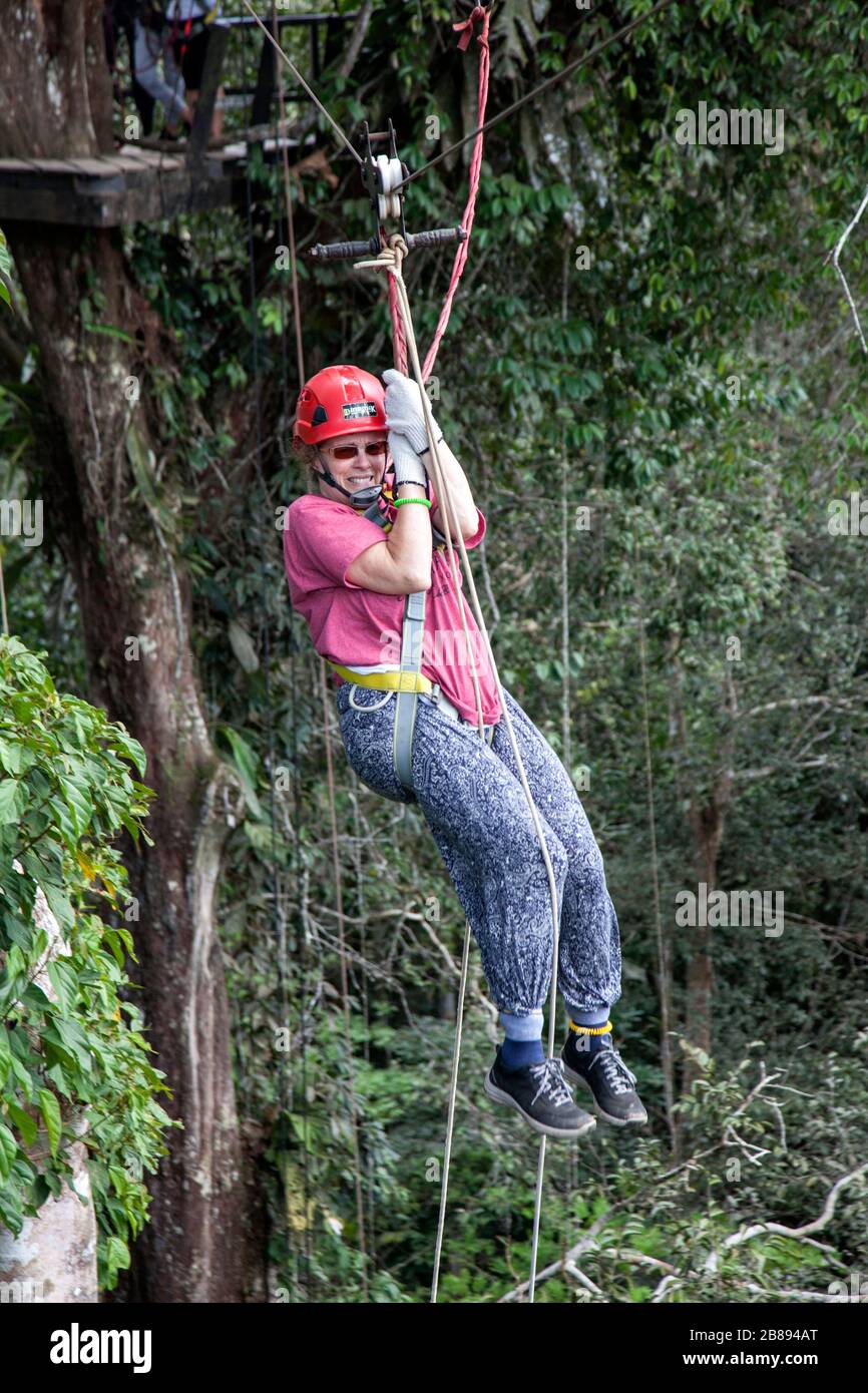 Aventure à la jungle canopée, allez à la pape, à Reserva Natural Tanimboca, réserve naturelle, Leticia, forêt tropicale, Amazonie, Colombie, Amérique du Sud. Banque D'Images