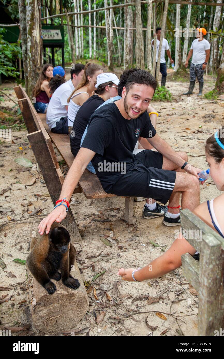 Groupe touristique et singe Maikuchiga Foundation, sanctuaire de singe à Loreto Mocagua dans la forêt tropicale d'Amazone, Leticia Amazone, Colombie. Amérique du Sud. Banque D'Images