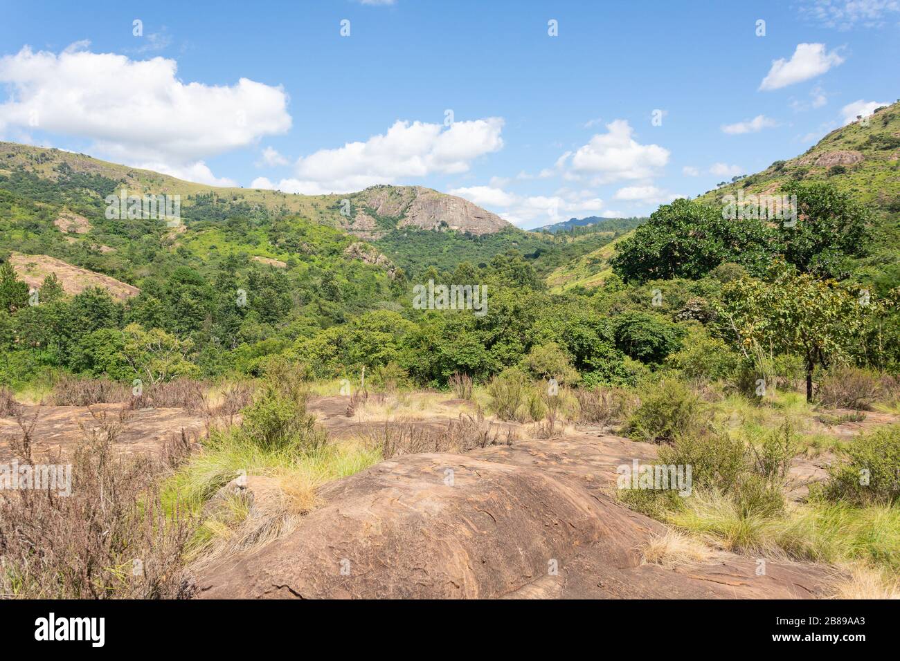Paysage de montagne à la réserve naturelle de Mantenga, Lobamba, vallée d'Ezulwini, région de Hhohho, Royaume d'Eswatini (Swaziland) Banque D'Images