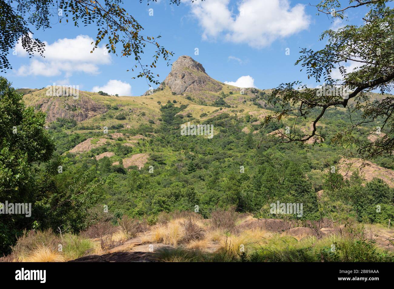Paysage de montagne à la réserve naturelle de Mantenga, Lobamba, vallée d'Ezulwini, région de Hhohho, Royaume d'Eswatini (Swaziland) Banque D'Images