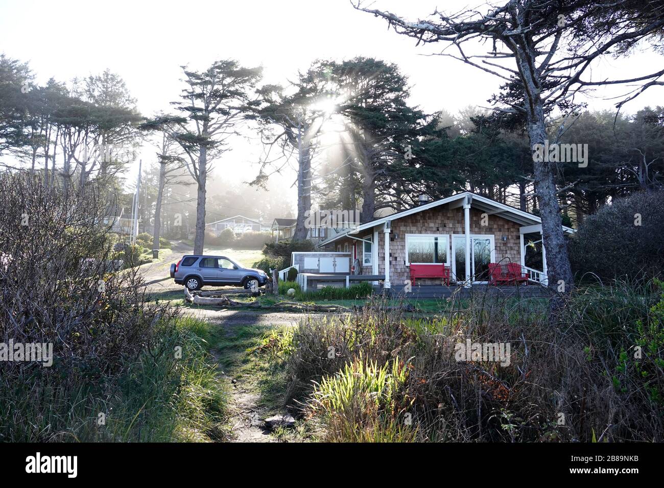 Une maison de plage sur la côte de l'Oregon se trouve sous les pins côtiers et les chênes juste après l'aube à Yachats, Oregon. Banque D'Images