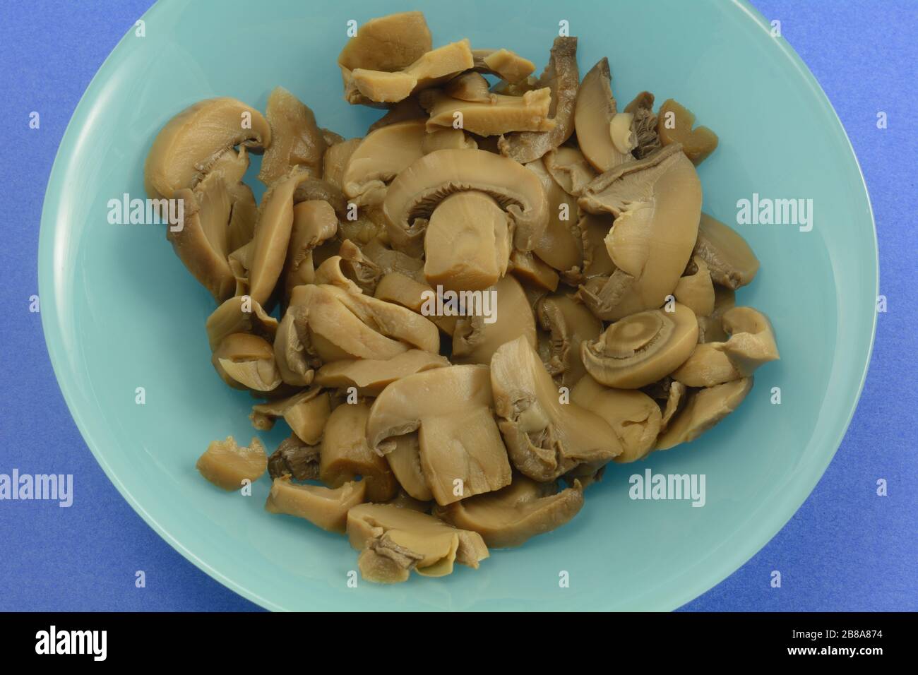 Gros plan sur les champignons en conserve fraîchement rincés dans un bol bleu sur fond bleu foncé Banque D'Images