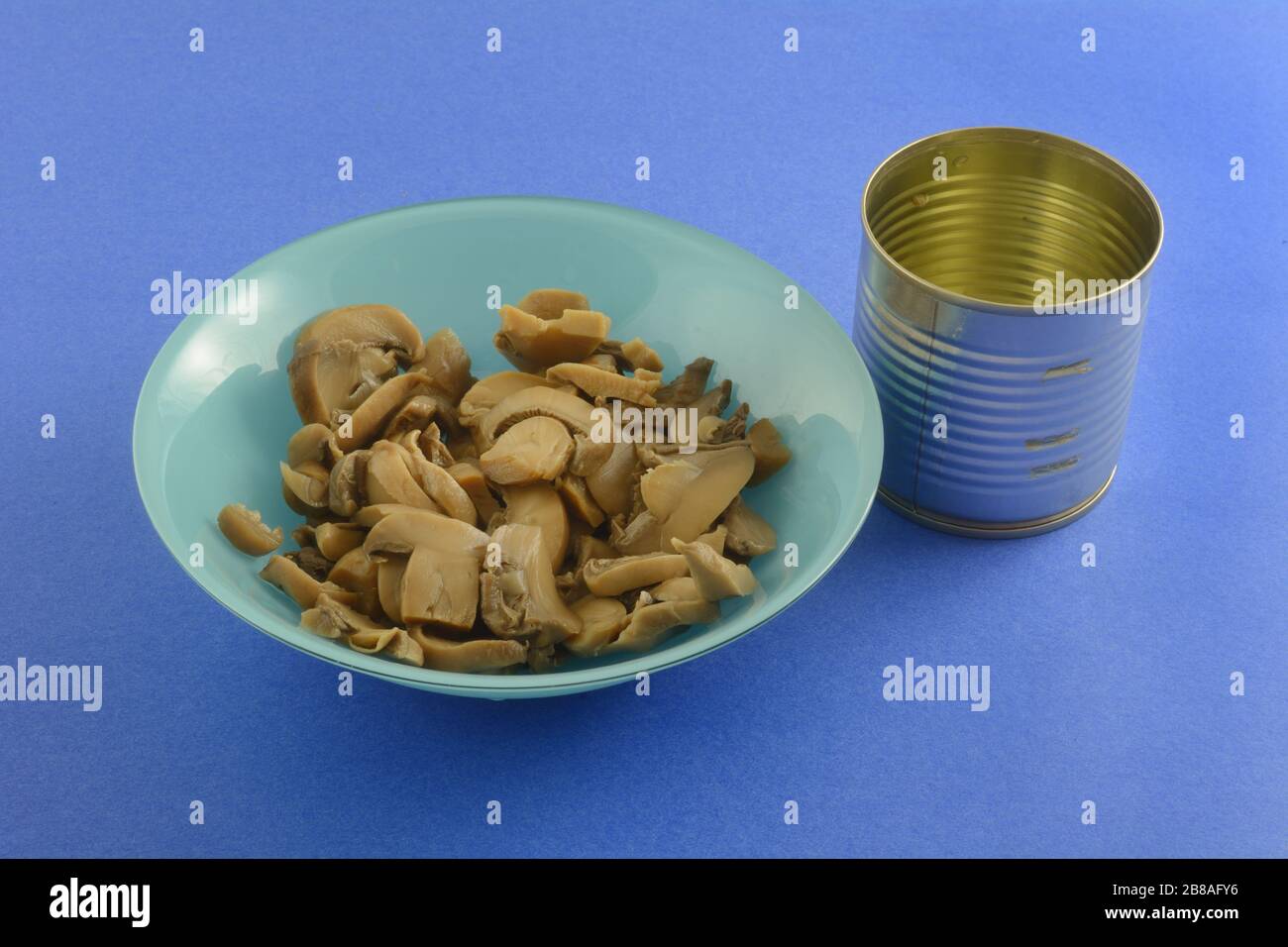 Gros plan sur les champignons en conserve fraîchement rincés dans un bol bleu avec une boîte vide sur fond bleu foncé Banque D'Images