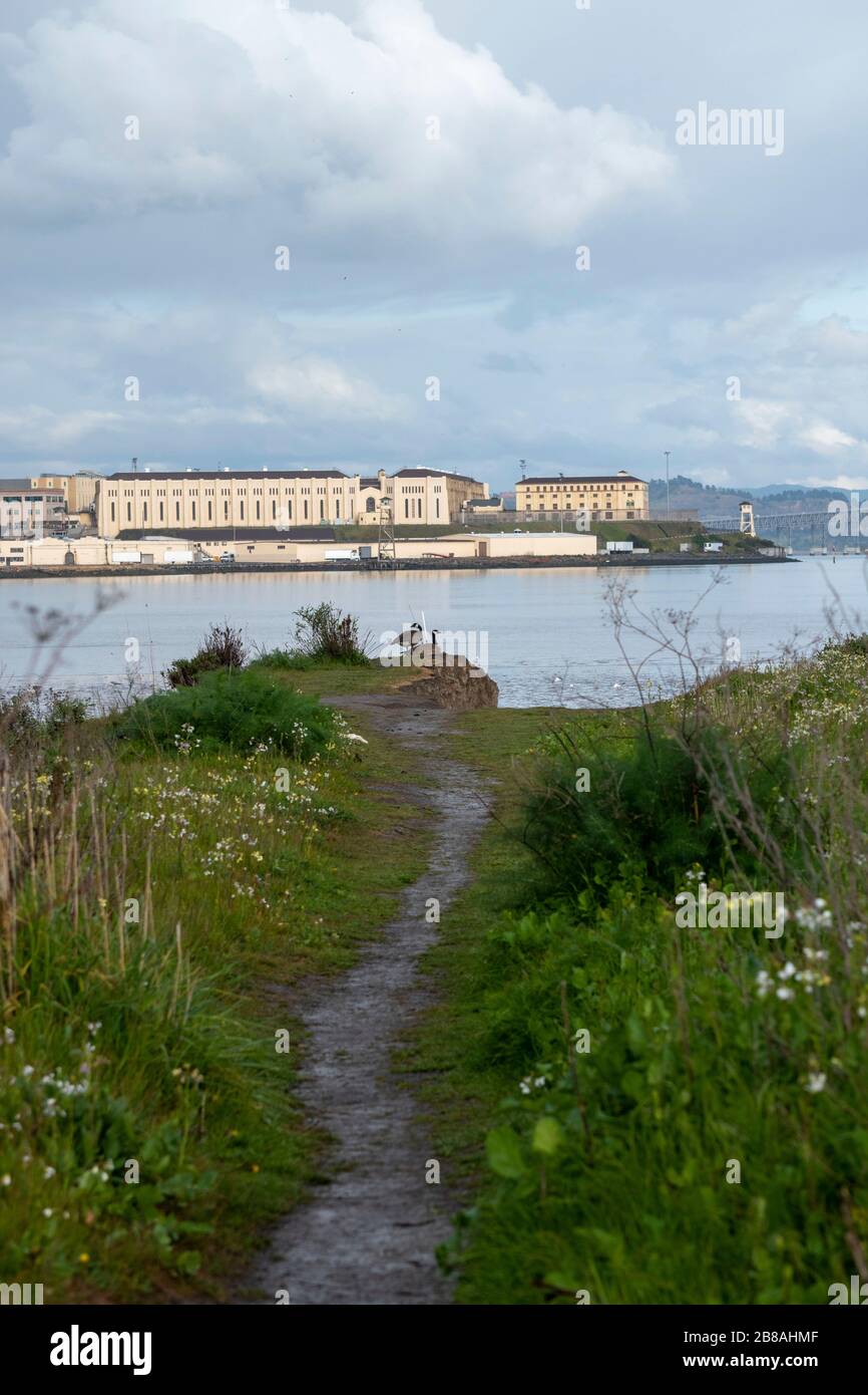 Deux oies se détendent à la prison d'État de San Quentin en arrière-plan à Corte Madera, Californie. Banque D'Images