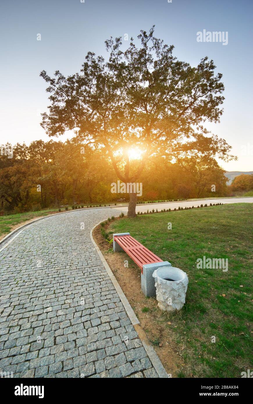 Beau parc de la ville. Un banc en bois au centre. Grand arbre et une route à proximité du soleil. Banque D'Images