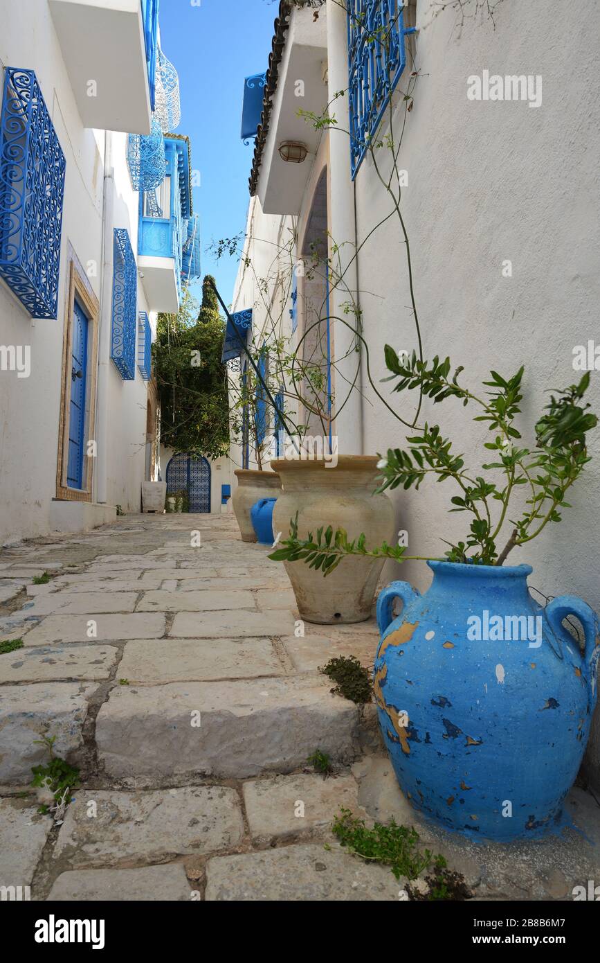 Sidi Bou Saïd, Tunisie Banque D'Images