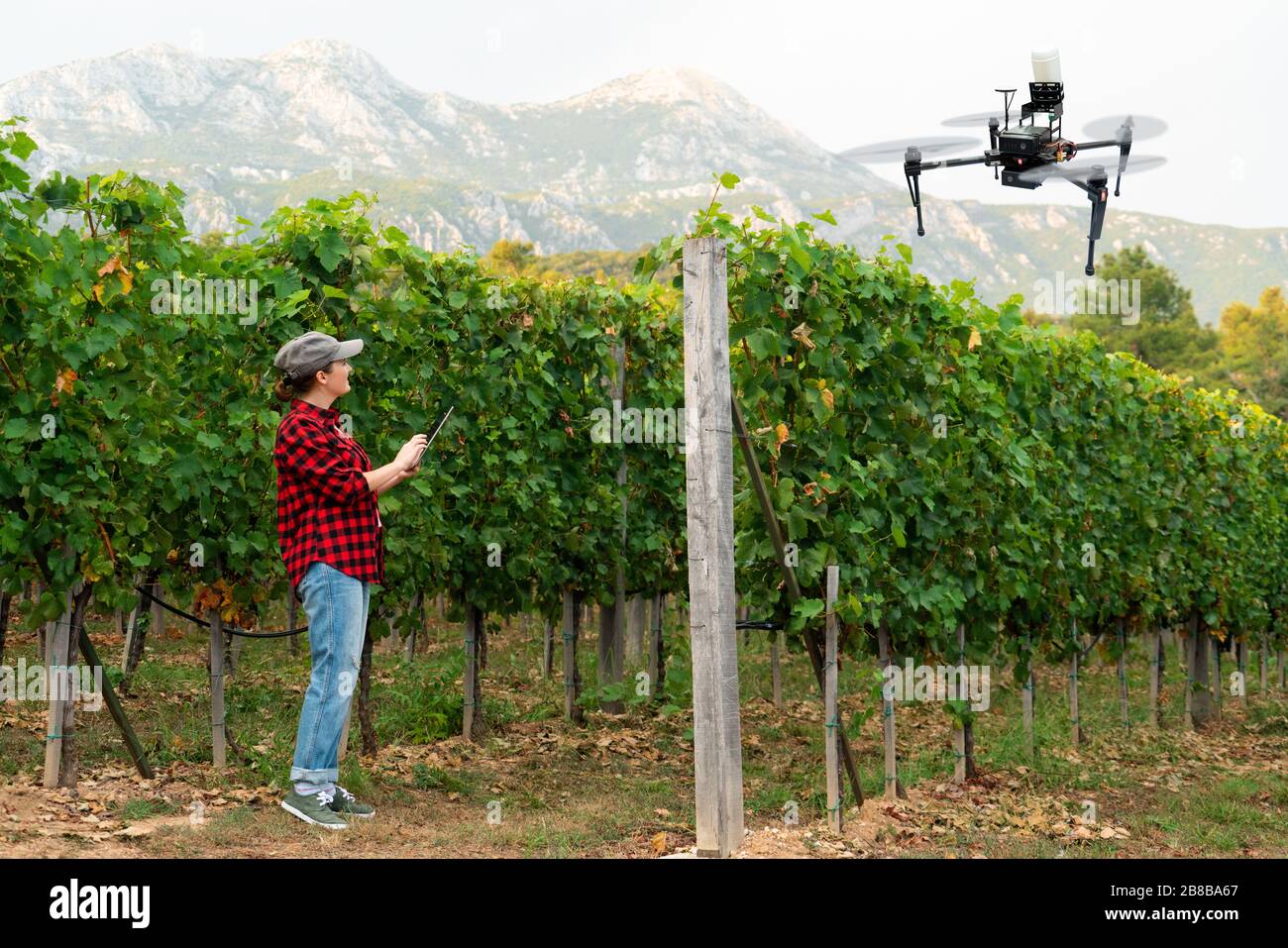 Femme Farmer contrôle drone pulvérisateur avec une tablette. Agriculture intelligente et agriculture de précision Banque D'Images