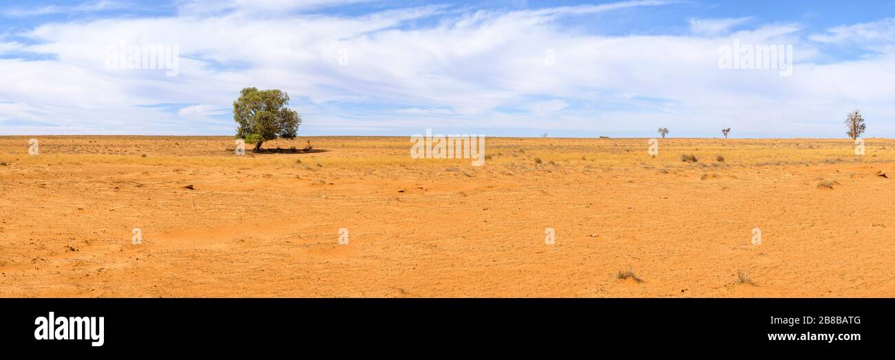 Panorama sur l'arrière-pays plat et sec près de Hay, Nouvelle-Galles du Sud Banque D'Images