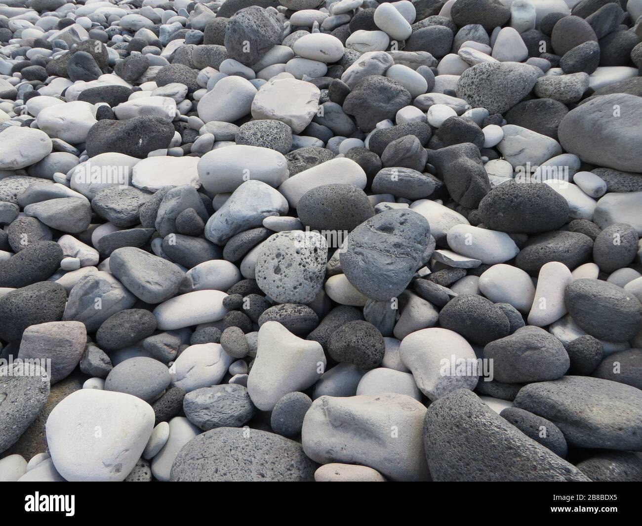 Mélange de pierres blanches et grises / grises sur le sol ou la plage d'Islande, nature pure, fond texturé avec structure aux couleurs claires et sombres Banque D'Images