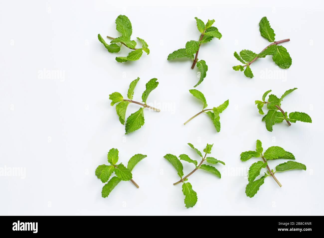 Feuilles de menthe fraîche sur fond blanc. Espace de copie Banque D'Images
