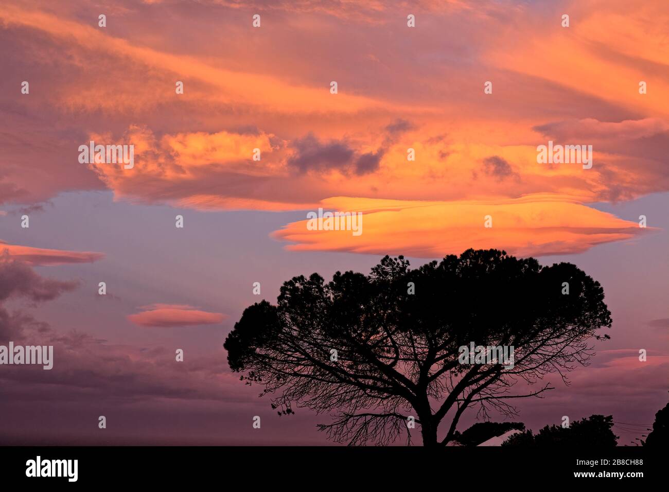Un pin de pierre est silhouetté contre un superbe coucher de soleil sud-africain dans la ville de Simon Banque D'Images