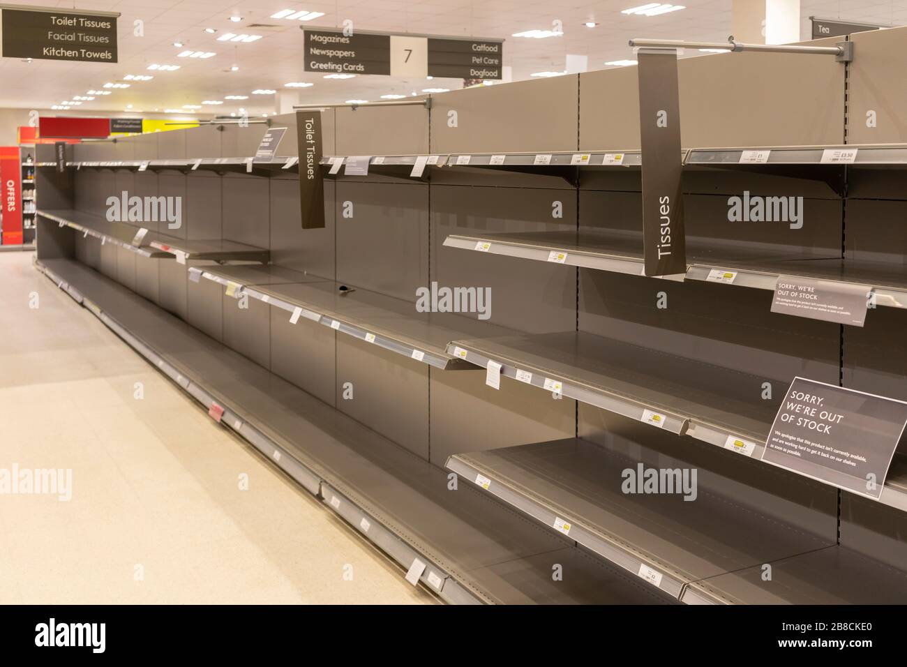 Les rayons vides des supermarchés à Waitrose des acheteurs paniquent acheter des rouleaux de toilettes, Basingstoke, Angleterre, 16 mars 2020 Banque D'Images