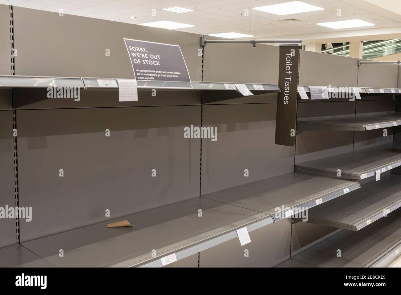 Les rayons vides des supermarchés à Waitrose des acheteurs paniquent acheter des rouleaux de toilettes, Basingstoke, Angleterre, 16 mars 2020 Banque D'Images