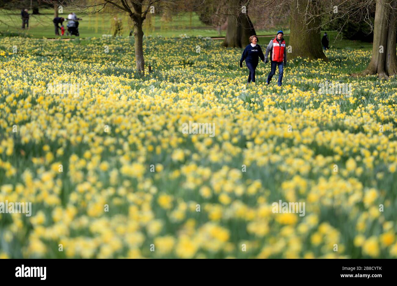 Une vue générale des gens se réveillant dans le domaine de Belton House à Grantham, qui a été ouvert gratuitement après que Boris Johnson a commandé des pubs, cafés, boîtes de nuit, bars, restaurants, théâtres, centres de loisirs et des salles de gymnastique à proximité pour lutter contre le coronavirus. Banque D'Images