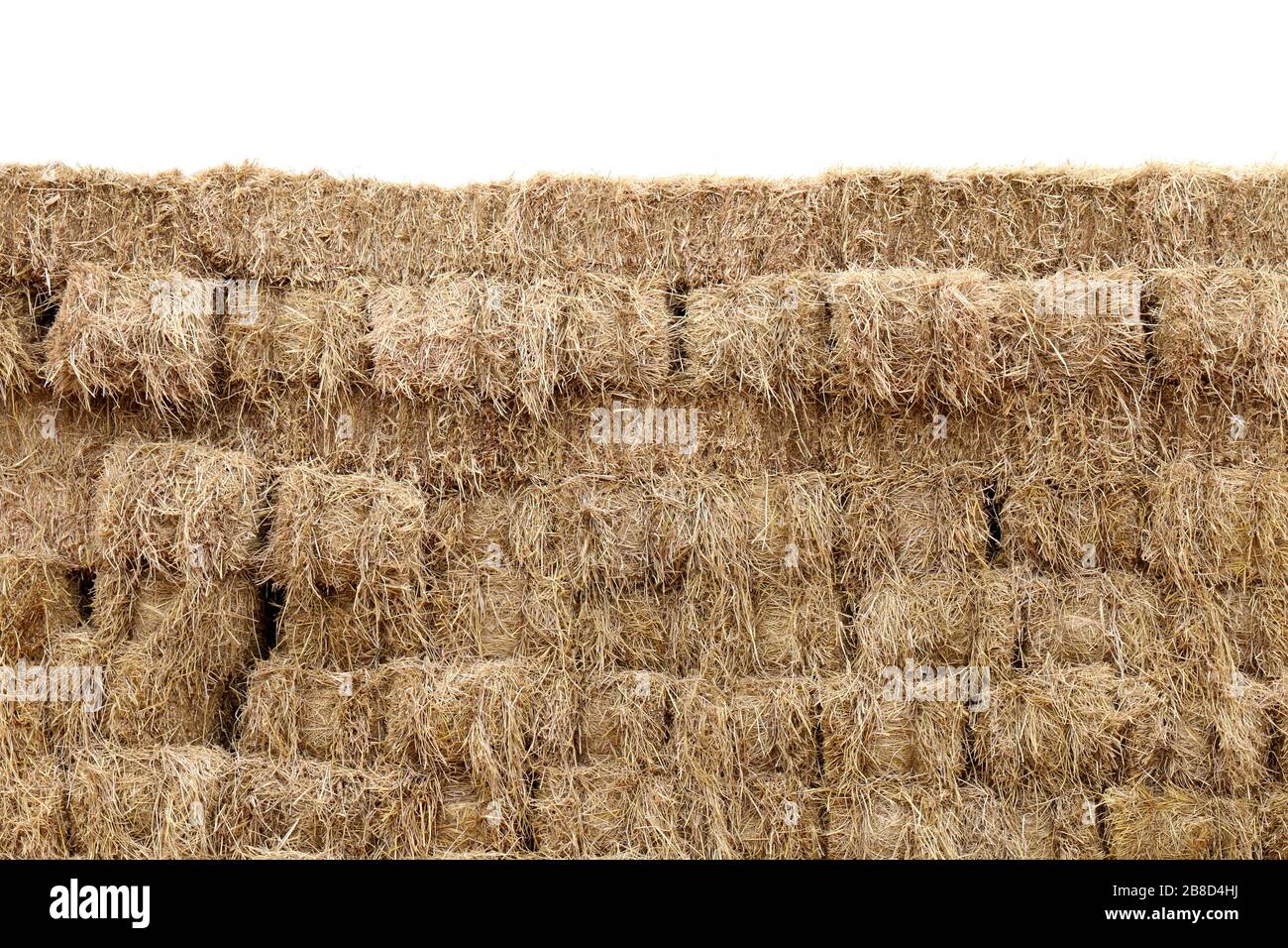 paille, mur cube de bloc de paille, pile de paille sec, fond blanc