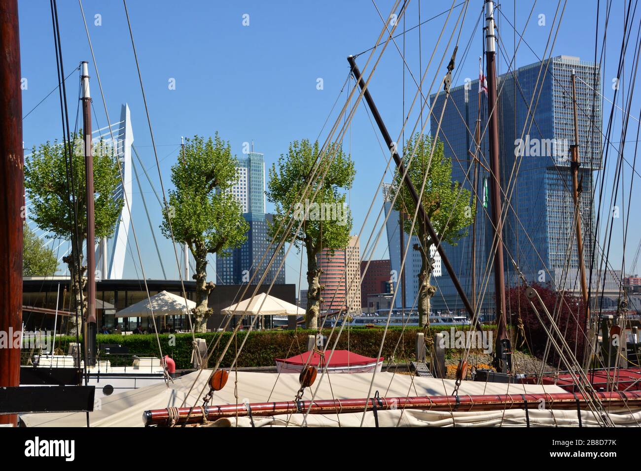 Bâtiments modernes et emblématiques, l'erasmus musbrug de Rotterdam, vu à travers le mât et les cordes de bateaux historiques amarrés dans le Veerhaven Banque D'Images