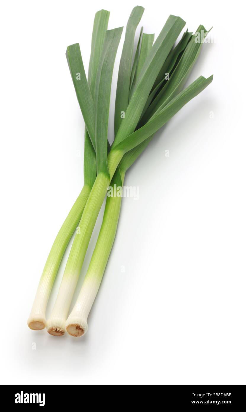 ail vert frais, ingrédients de la cuisine chinoise du sichuan isolés sur fond blanc Banque D'Images