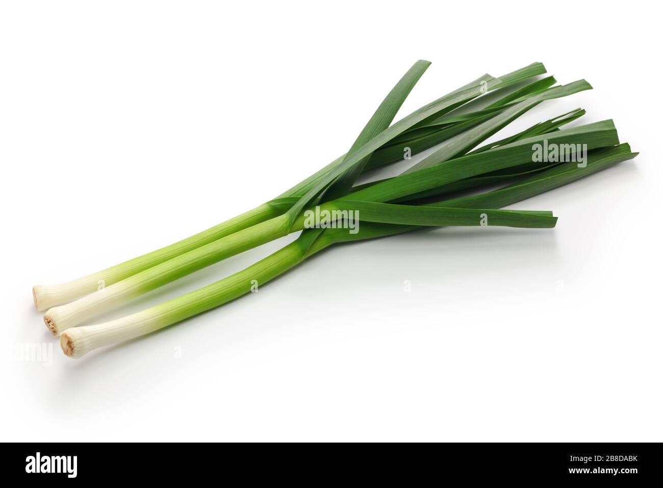 ail vert frais, ingrédients de la cuisine chinoise du sichuan isolés sur fond blanc Banque D'Images