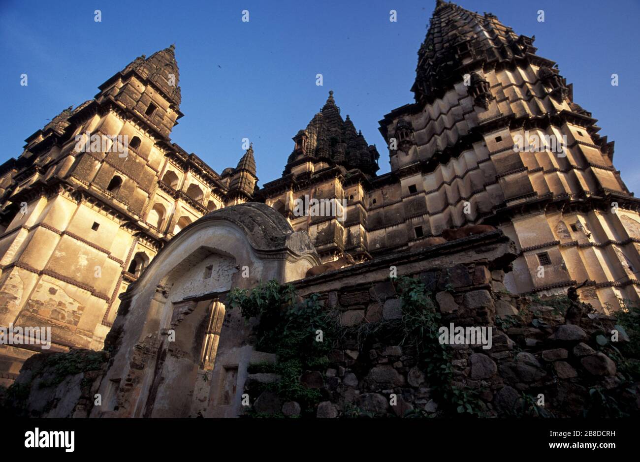 Temple de Chaturbhuj, dédié au Seigneur Vishnu. Orchha dans Madhya Pradesh, Inde. Banque D'Images