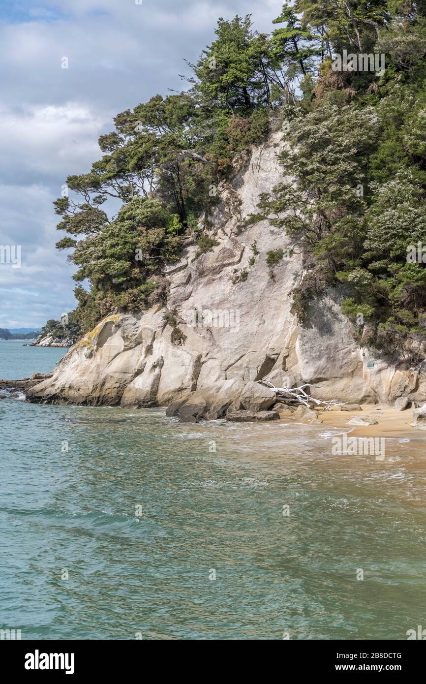 Paysage avec roche usée, plage de sable et végétation luxuriante de la forêt tropicale, tourné en lumière de printemps vive à la plage d'observation, parc Abel Tasman, Islan du Sud Banque D'Images