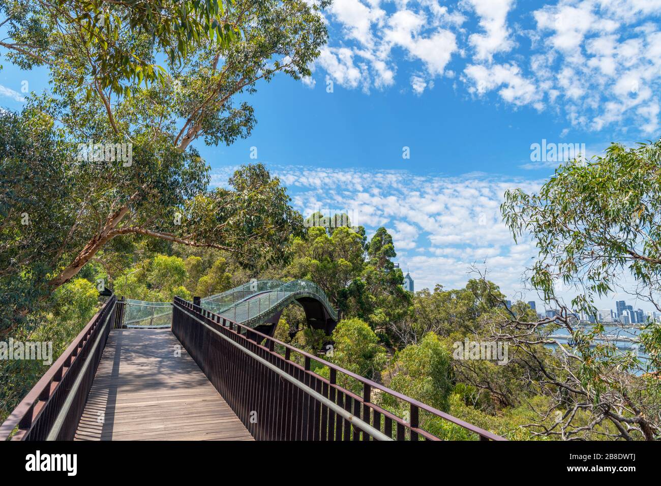 Lotterywest Federation Walkway en direction du Central Business District, du King's Park Botanic Garden, Perth, Australie occidentale, Australie Banque D'Images