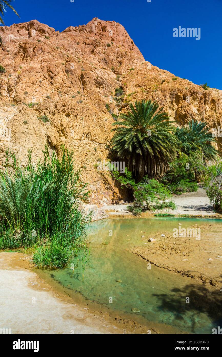 Poster 130x90 Cm Oasis De Montagne Chebika - Désert Du Sahara, Tunisie, Cascade - Décoration Murale Vibrante, Impression Qualité Premium - 4