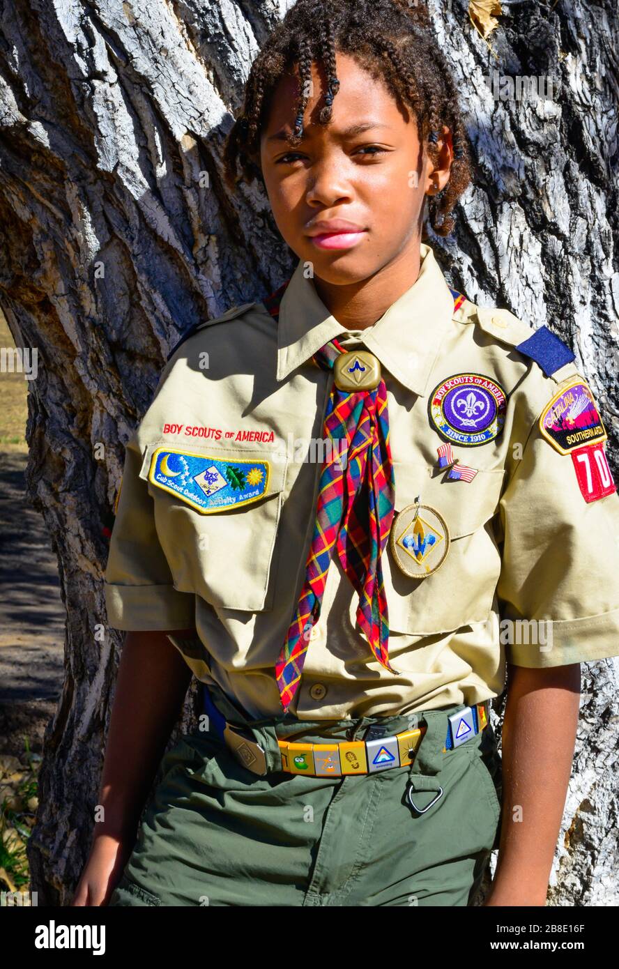 scouts d amerique banque d image et photos alamy
