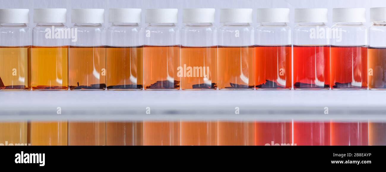 Les couleurs des fines d'espèces d'arbres de Dalbergia extraites de méthanol en suspension de méthanol pour aider les agents des douanes à identifier les espèces en voie de disparition. Banque D'Images
