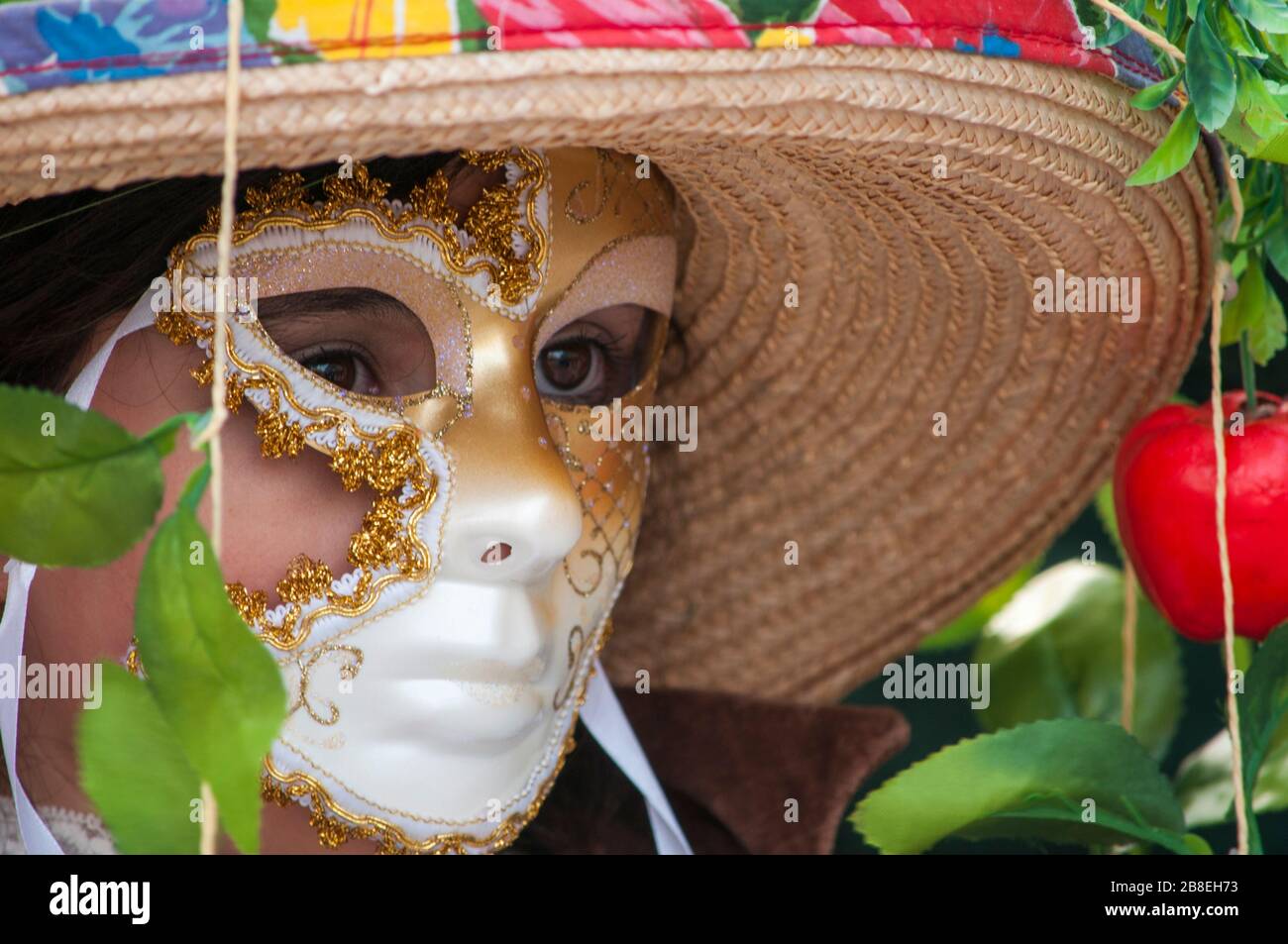 Les masques de carnaval haut en couleurs à un festival traditionnel de Venise, Italie Banque D'Images
