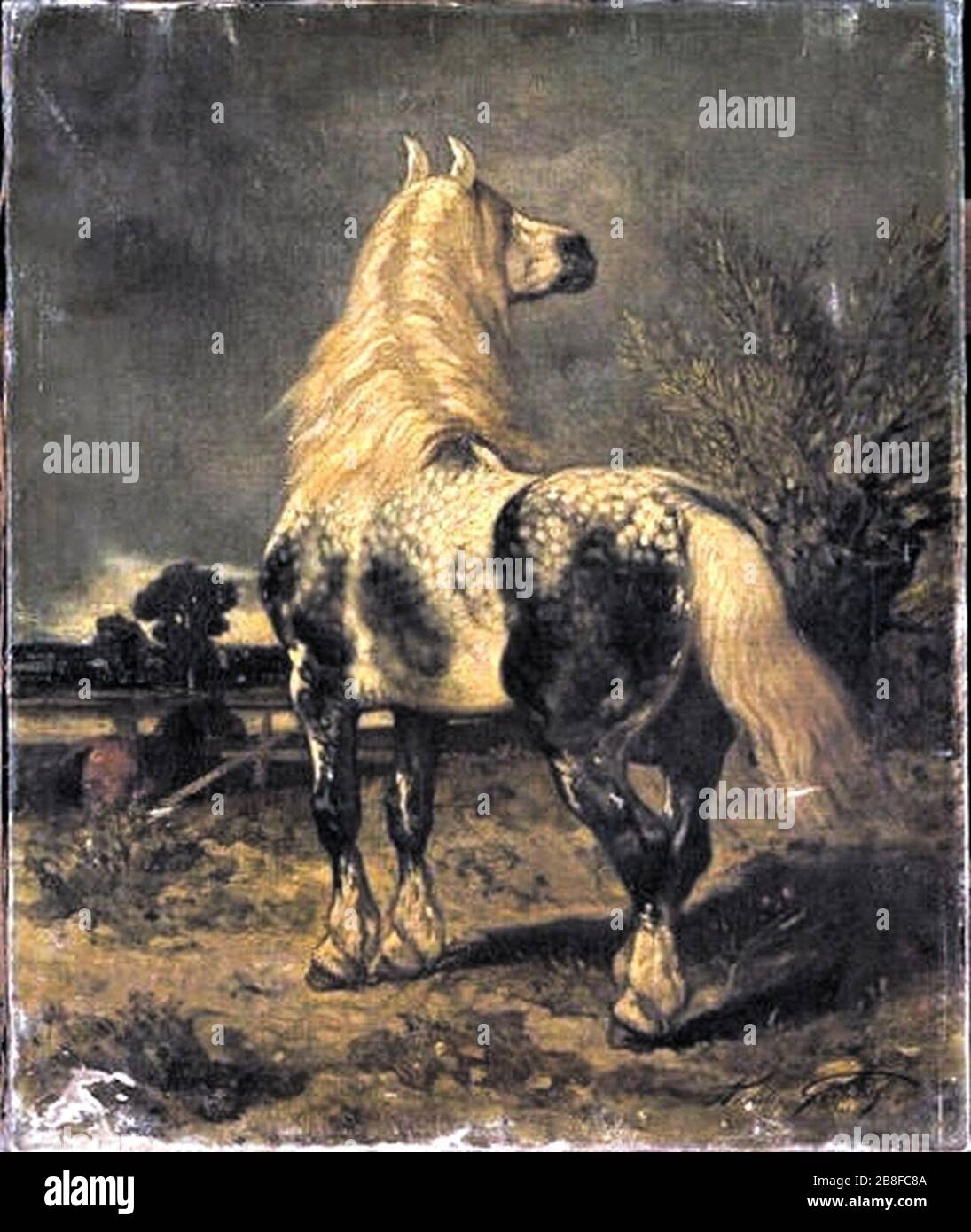 Giroux-Percheron. Banque D'Images