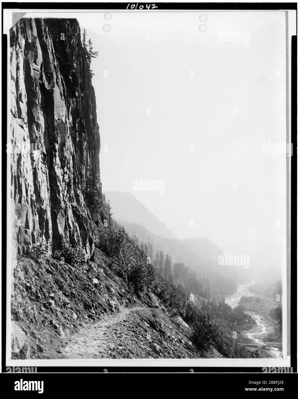 Sentier Glacier, Mt. Rainier National Park, Washington Banque D'Images