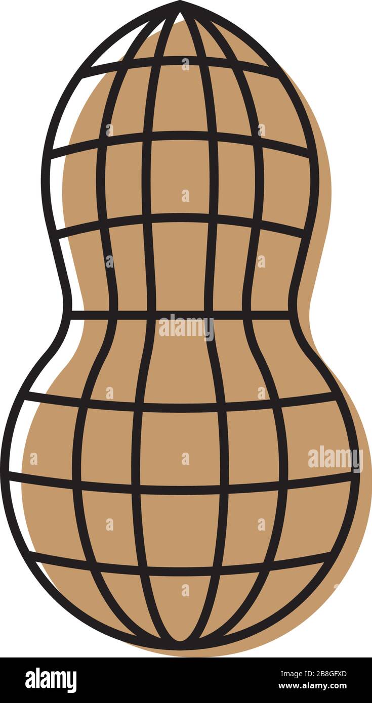 Icône vectorielle de coque d'arachide isolée sur fond blanc Illustration de Vecteur