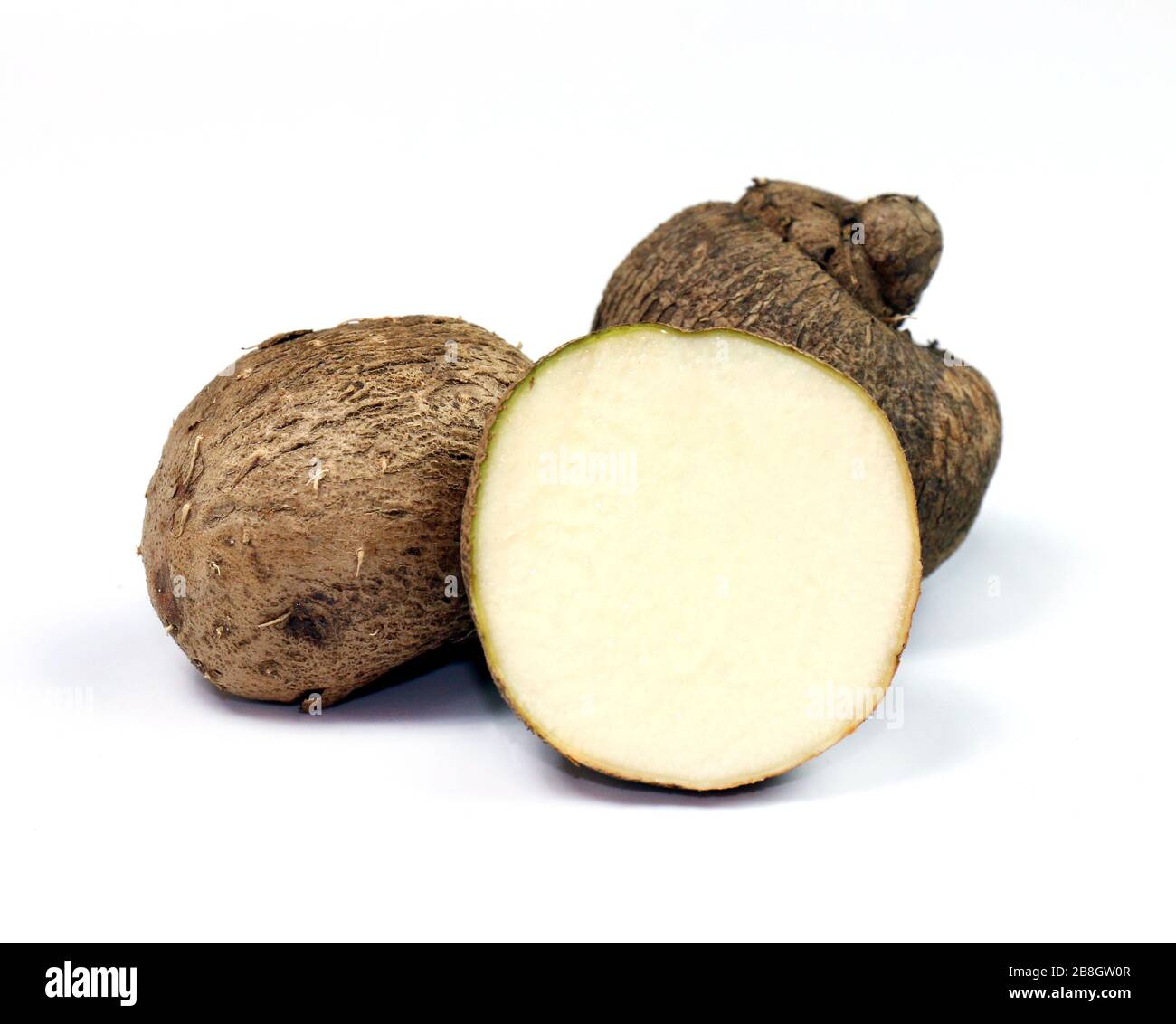 Dioscorea, Mun-NEB (mot thaïlandais), Dioscorea tuck frais, Dioscorea slats racine isolée sur fond blanc, Rubeola fotografie Banque D'Images