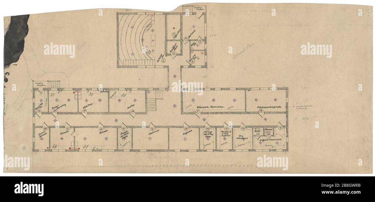 Hôpital du gouvernement pour l'Insane (hôpital Saint Elizabeths), Washington, D.C. immeuble de laboratoire. Plan au rez-de-chaussée comprenant le théâtre d'autopsie et la salle de l'électrocardiographe Banque D'Images