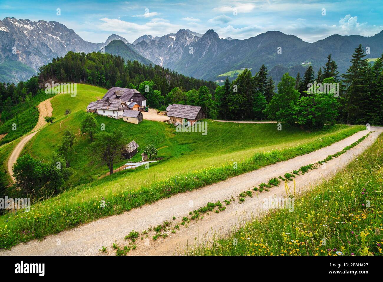 Paysage rural alpin d'été avec hautes montagnes et fermes dans la forêt glade glade, Alpes de Kamnik Savinja, vallée de Logar, Slovénie, Europe Banque D'Images