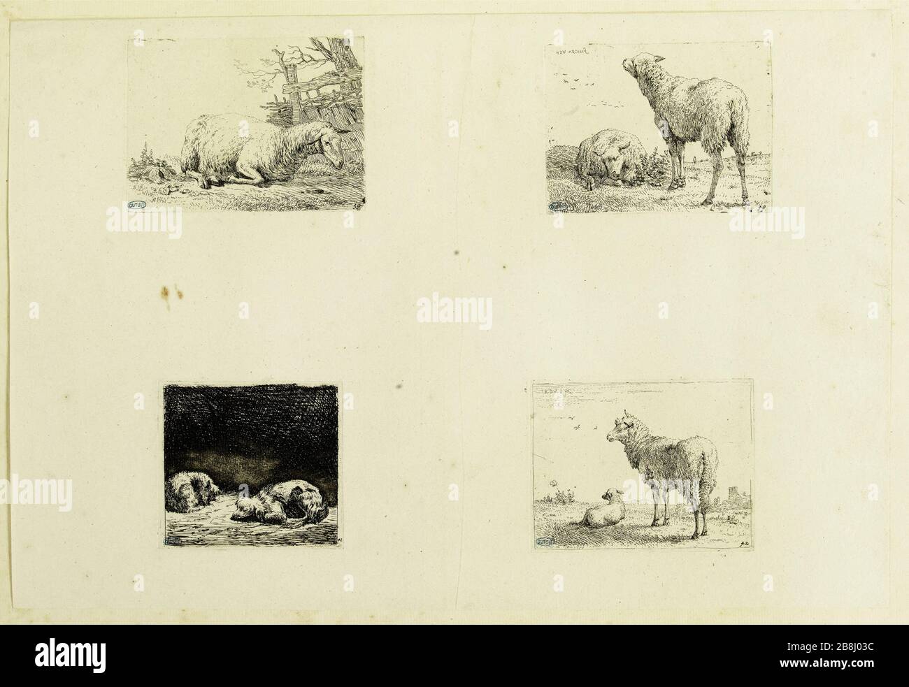 Le mouton près de la couverture de paille, les deux moutons, le chien et le chat et le mouton et l'agneau (Dutuit 39, 40, 41, 42) Karel Dujardin (1622-78). Le Mouton près de la haie de paille, les deux moutons, le chien et le chat et la Brebis et son fils agneau (Dutuit 39, 40, 41, 42). Eau-forte, 1652-1660. Musée des Beaux-Arts de la Ville de Paris, petit Palais. Banque D'Images