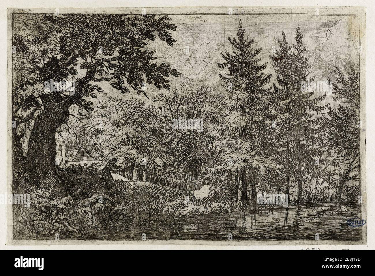 Les Pins dans l'eau (Bartsch 68) Allart Van Everdingen (1621-1675), PEINtre hollandais. Les Pins dans l'eau (Bartsch 68). Eau-forte sur papier, 1645-1675. Musée des Beaux-Arts de la Ville de Paris, petit Palais. Banque D'Images