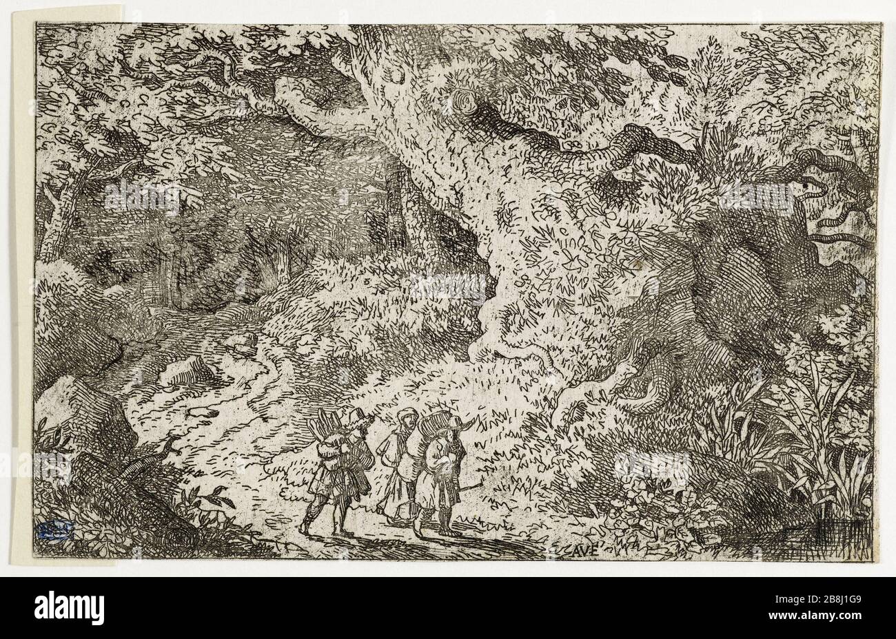 Forêt épaisse (Bartsch 89) Allart Van Everdingen (1621-1675), pître hollais. La Forêt épaisse (Bartsch 89). Eau-forte sur papier, 1645-1675. Musée des Beaux-Arts de la Ville de Paris, petit Palais. Banque D'Images